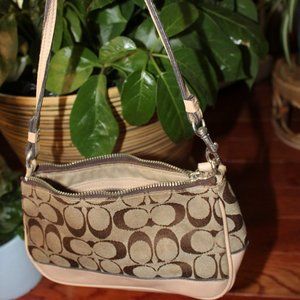small Coach bag